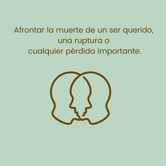 Duelos y pérdidas