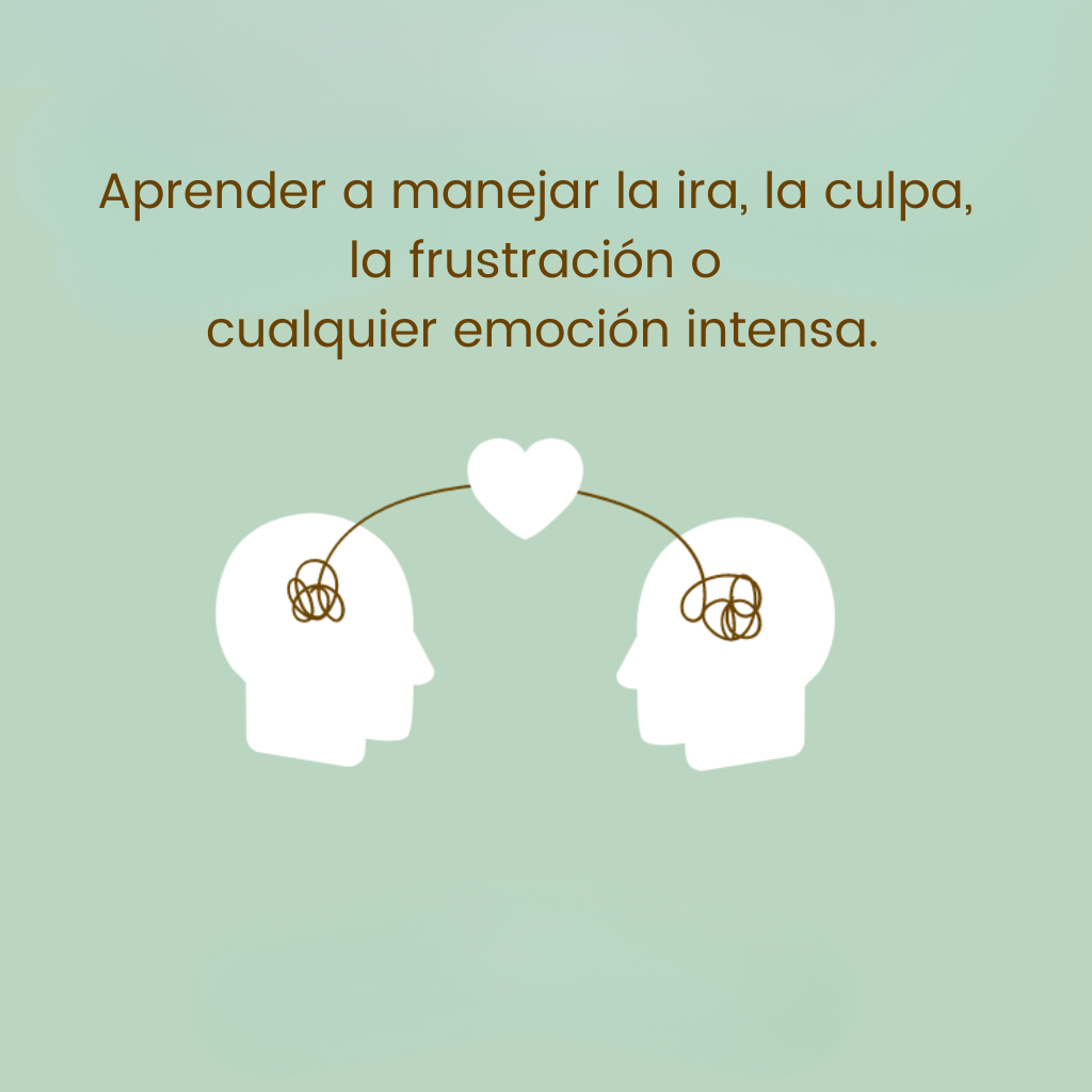 Gestión emocional