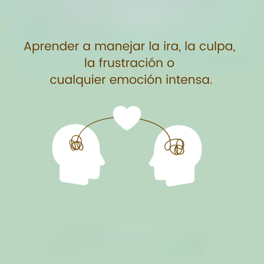 Gestión emocional